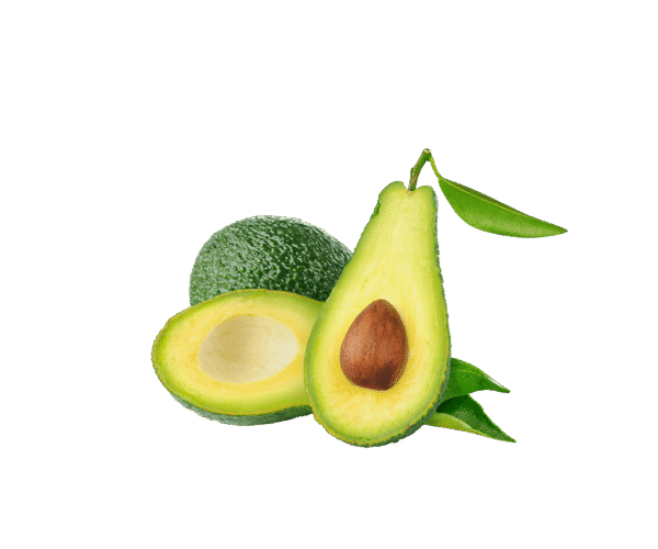 Organic Avocado
