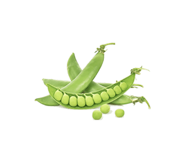 Organic Peas