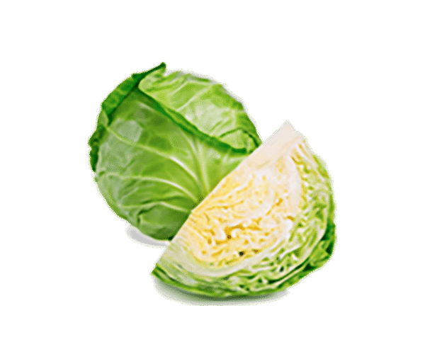 Organic Cabbage