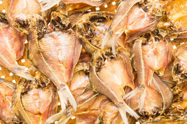 Korrameenu (Snakehead Fish) – కొర్రమీను - Image 2